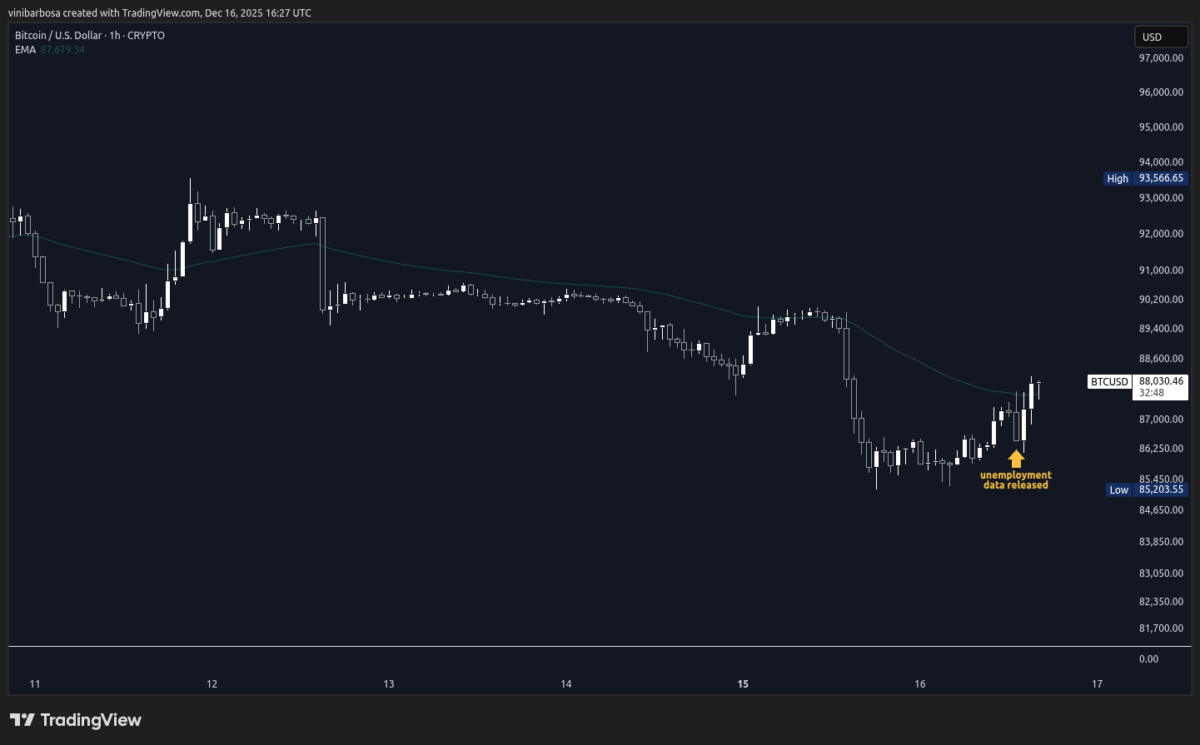 ارتفع معدل البطالة في الولايات المتحدة إلى 4.6%، ومحللو العملات الرقمية يتوقعون انطلاقة صعودية لـ Bitcoin