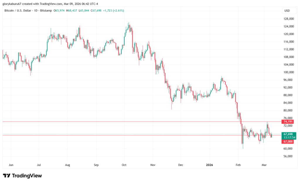 الرسم البياني اليومي لسعر البيتكوين | المصدر: TradingView