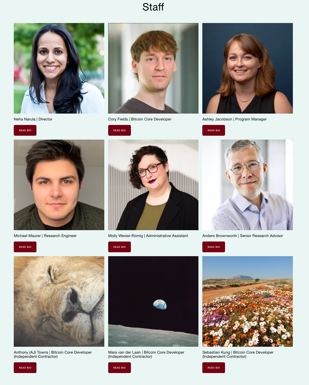 Bitcoin có bị thao túng không?