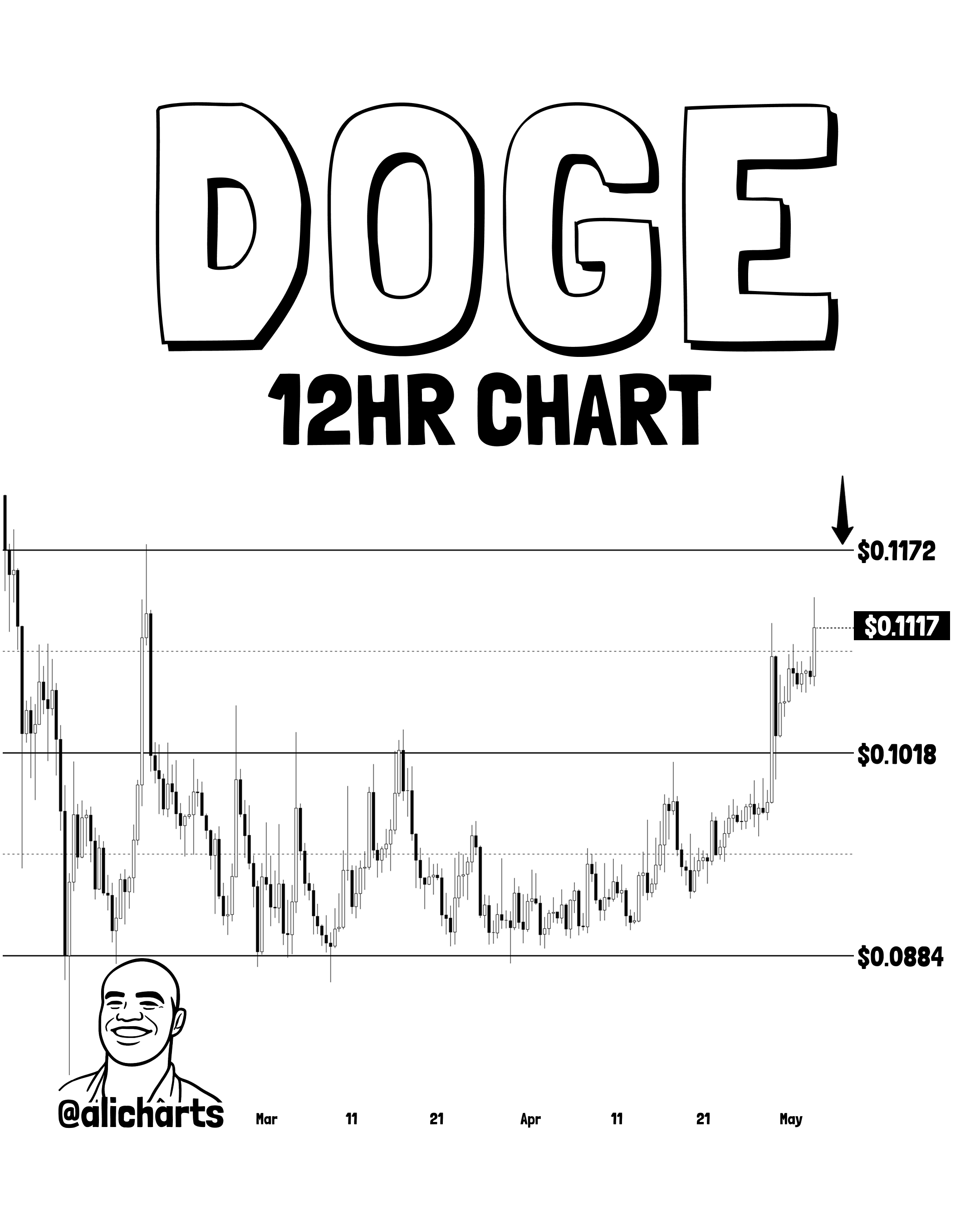 Dogecoin Sees Big-Money Interest: Whales Load Up On 160M DOGE image 2
