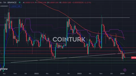 Ripple Price Analysis Amidst Market Pressure