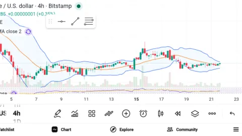 Affordable Crypto Picks: 3 Tokens With High Upside Potential in 2026