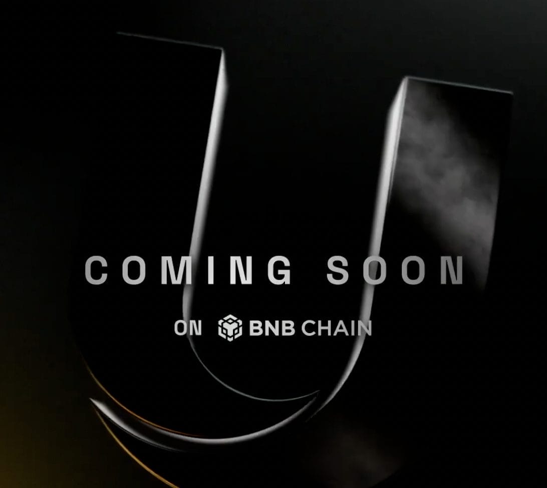 BNB Chain Introduces a New Altcoin Dish With Stablecoin