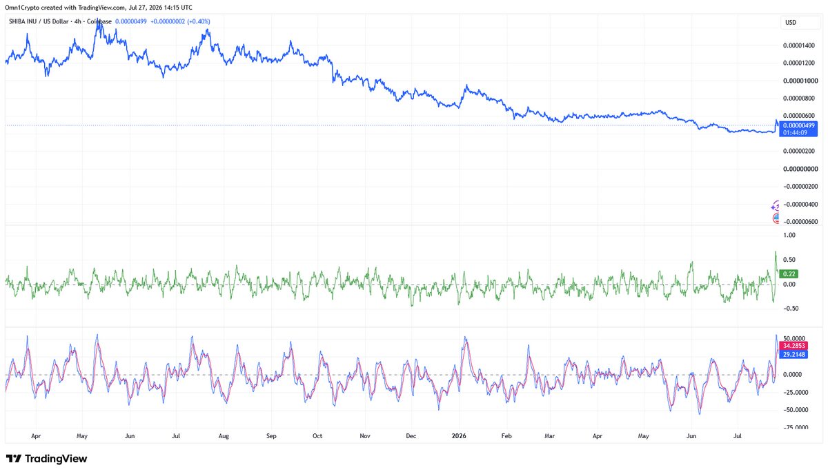 SHIB Price Whips Up 25% Gains In a Day: Rally Ahead? image 1