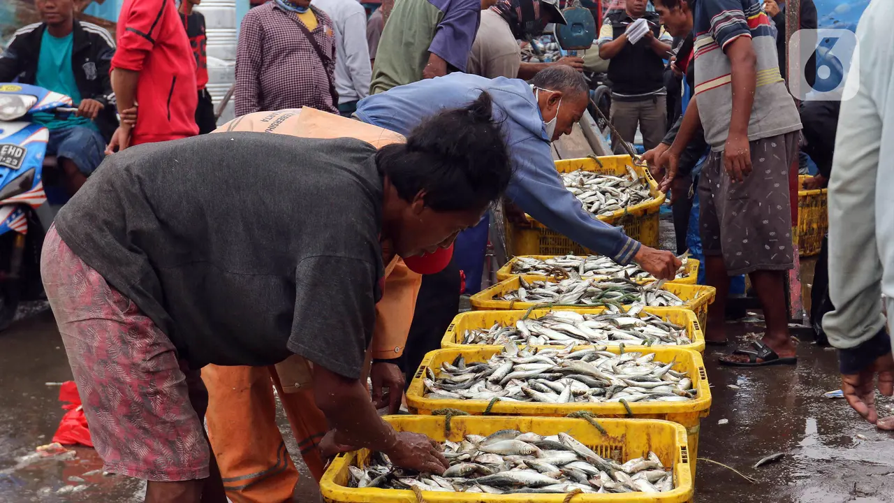 Lampaui Target Swasembada, Pemerintah Bidik Indonesia Jadi Eksportir Ikan Terbesar Dunia image 0