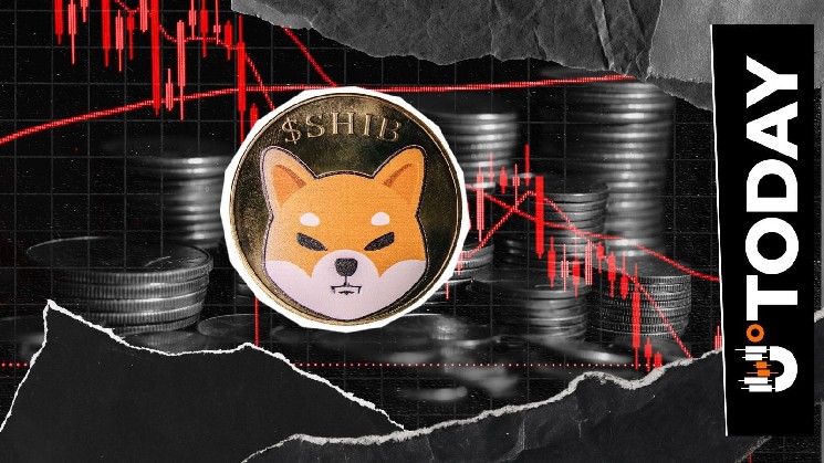 1,235,294,117,647 SHIB Futures Outflow in 24 Hours, What's Going On? image 1