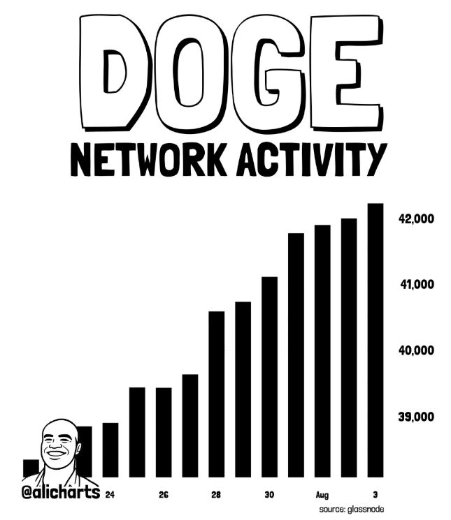 Is Dogecoin Ready to Rally? On-Chain Data Suggests Bulls Are Returning