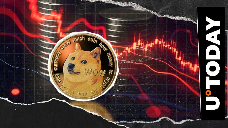 Dogecoin (DOGE) Hits Hard: 2691% Liquidation Imbalance Rocks Market