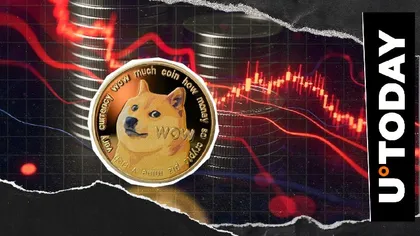 Dogecoin (DOGE) Hits Hard: 2691% Liquidation Imbalance Rocks Market