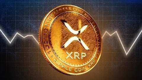 Canary Capital CEO Reveals Why $5 or $10 XRP Is ‘Small’ in a Trillion-Dollar Market