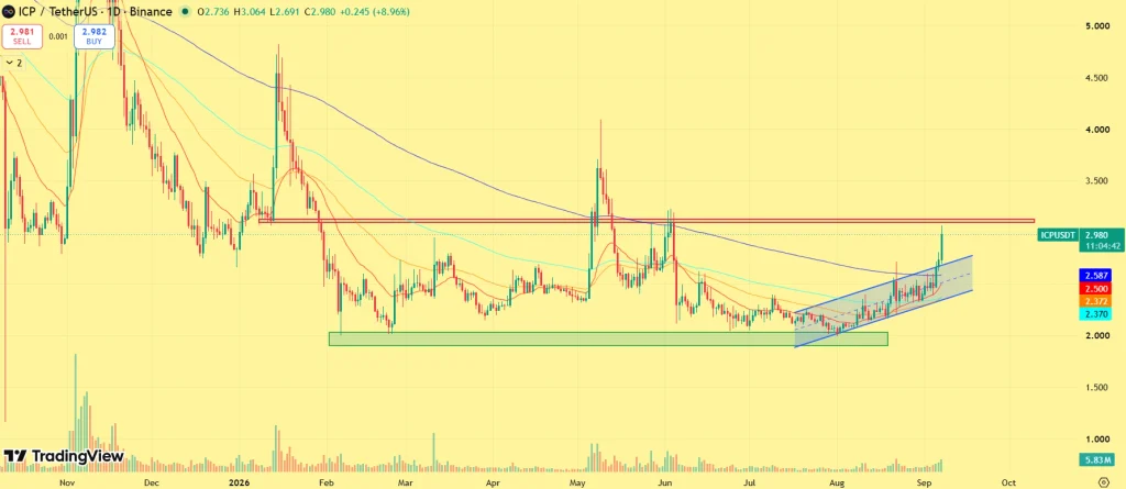 ICP Price Rallies 13%— Here’s Where the Rally Could Go image 1
