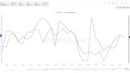 Bitcoin Price Analysis: The 200-Week Moving Average Decision Zone