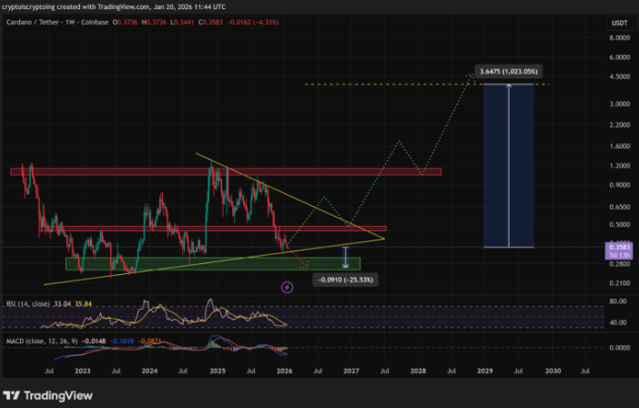 «Киты» незаметно скупили 210 млн ADA. Как это повлияет на стоимость альткоина? 