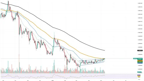 Shiba Inu (SHIB) Records 33.77% Exchange Withdrawal Spike: Accumulation Trend Emerges