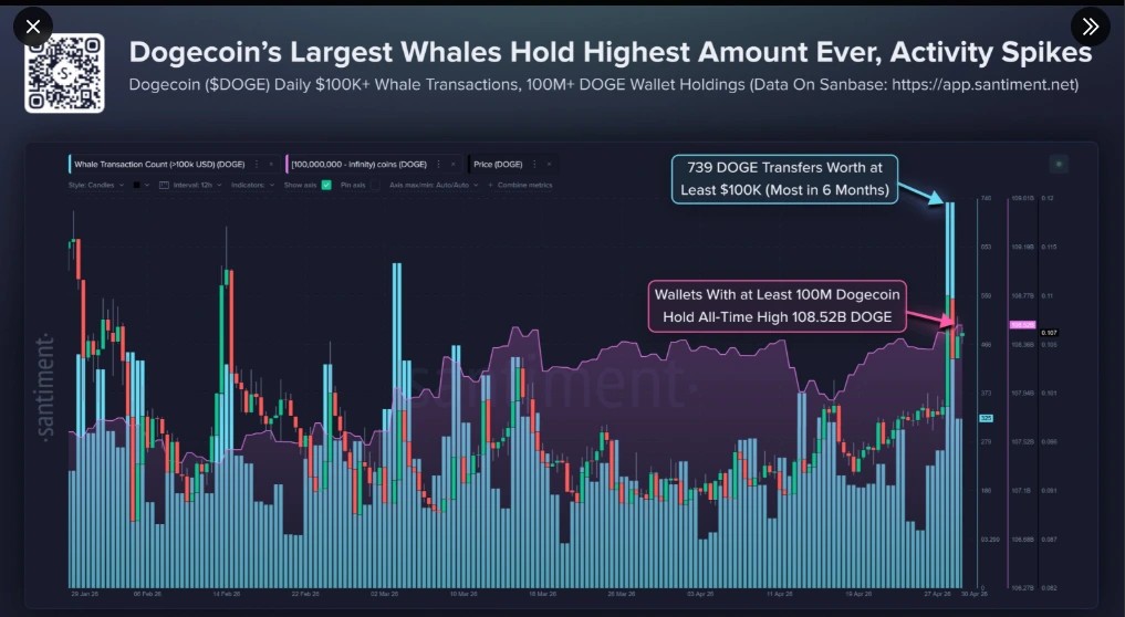 Dogecoin Whales Hit All-Time High Accumulation as Bullish Momentum Ignites image 2