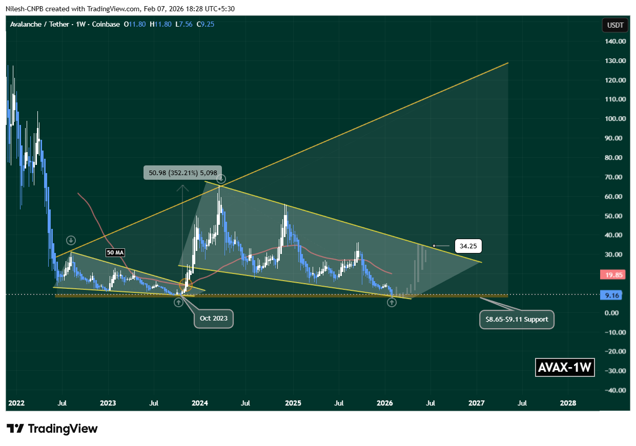 Avalanche (AVAX) Revisits Multi-Year Macro Support — Risk or Opportunity?