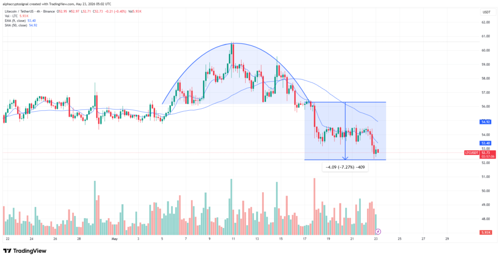 LTC Breakdown Extends Losses Below Key Resistance