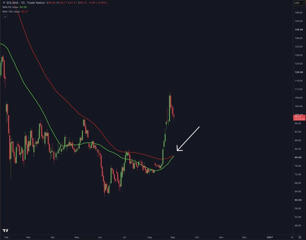 Solana Price Prediction: Next Bullish Target Revealed image 3