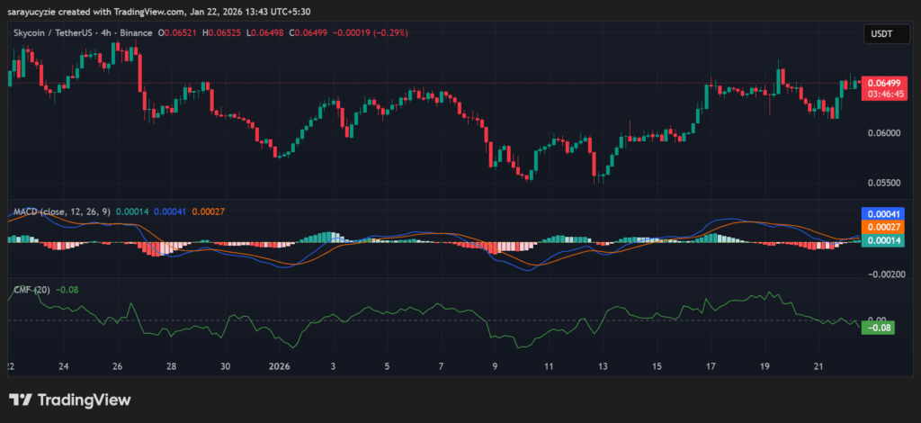Green in a Red Market: Can SKY’s Momentum Cut Through the Cloud After a 8% Jump?
post-155524
post-155524
post-155524