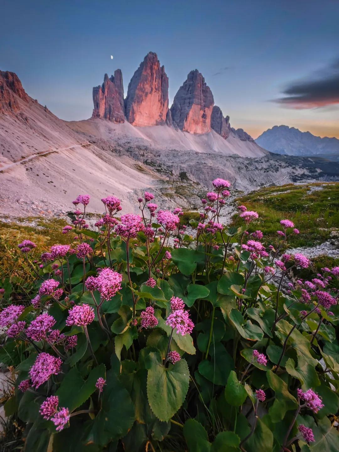 Snapdragon Imaging: Heading to the