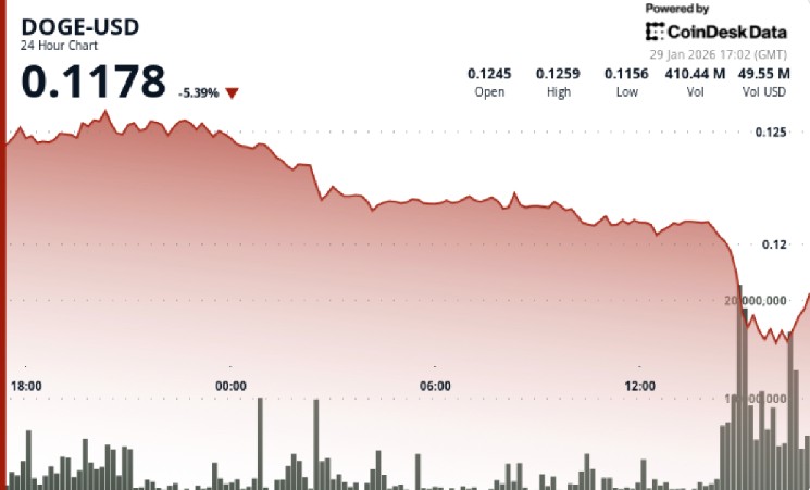 Dogecoin slumps 7% as bitcoin risk-off rattles memecoin bets image 1
