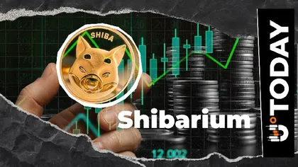 Shiba Inu: Shibarium Activity Surges 507% but Then Loses It All