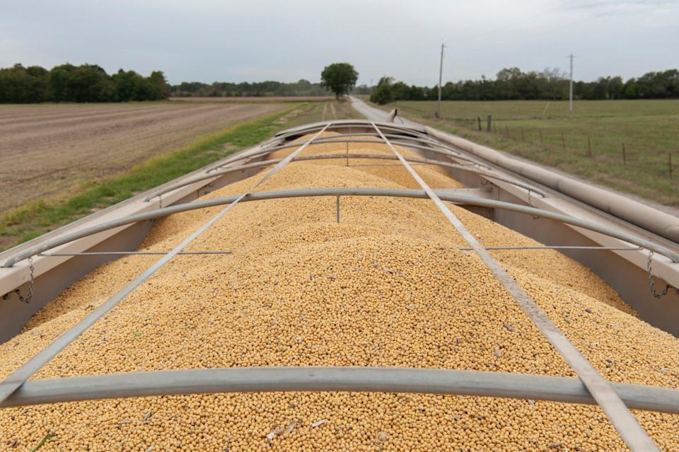 Crop Prices Surge Amid Conflict Disrupting Trade and Threatening Supply Constraints
