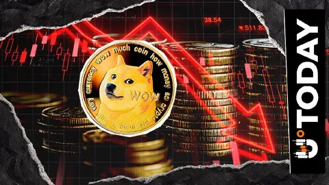 Dogecoin Volumes Drop 50% as Price Faces Key Test at $0.10