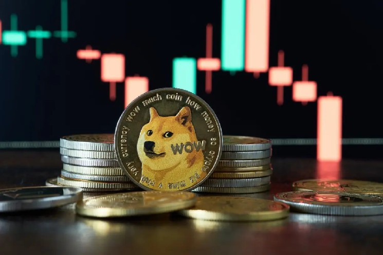 Is Dogecoin About to Move? X Payments Narrative Gains Momentum image 0