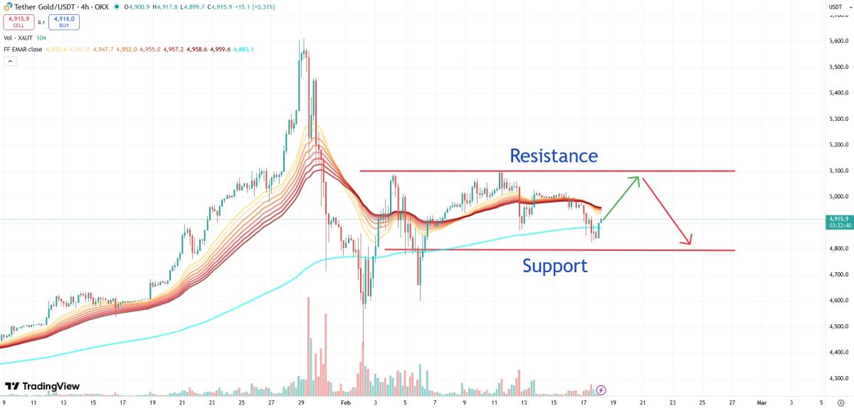  Elemental выплатит дивиденды в золотых стейблкоинах от Tether 