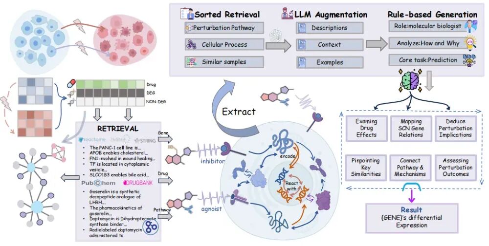 AI虚拟细胞面世，无需等待实验，可预警药物疗效与机制 image 2