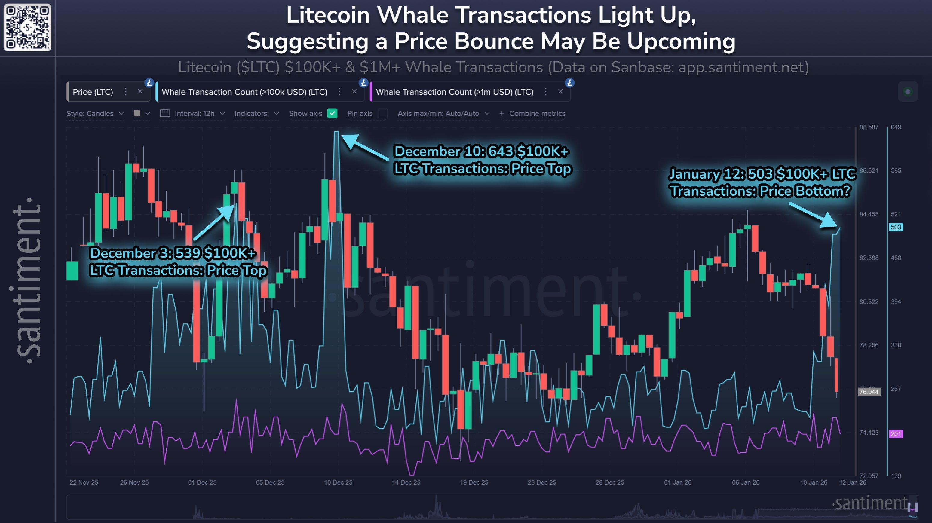 Litecoin Whale Activity Spikes To 5-Week High: Reversal Or Continuation Signal?
