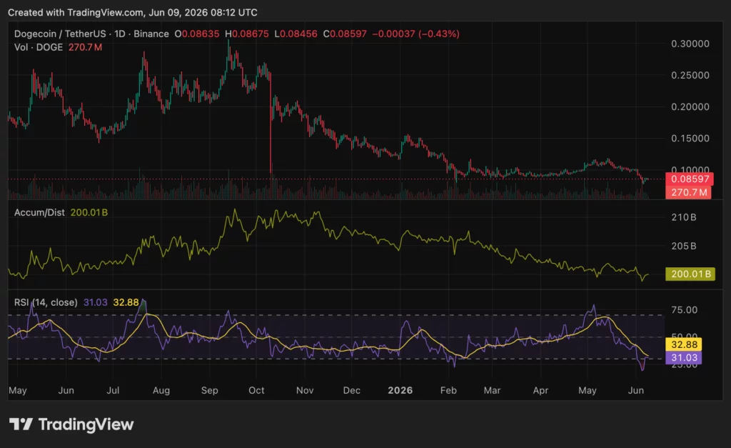 Dogecoin price holds $0.081, can whales prevent a fall to $0.058?