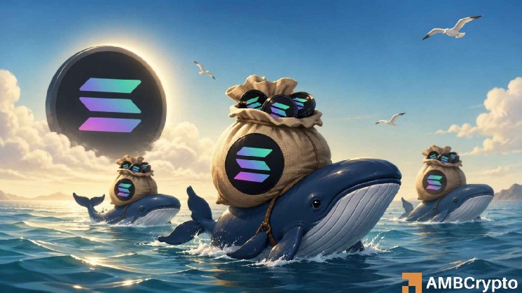 Solana: Amid rising ETF inflows and whale demand, will SOL break $97? image 1