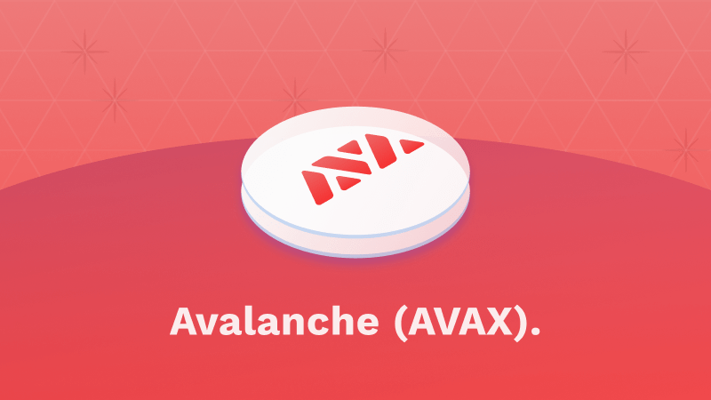 Avalanche Prognose 2026 bis 2040 – Wird AVAX explodieren?  image 0