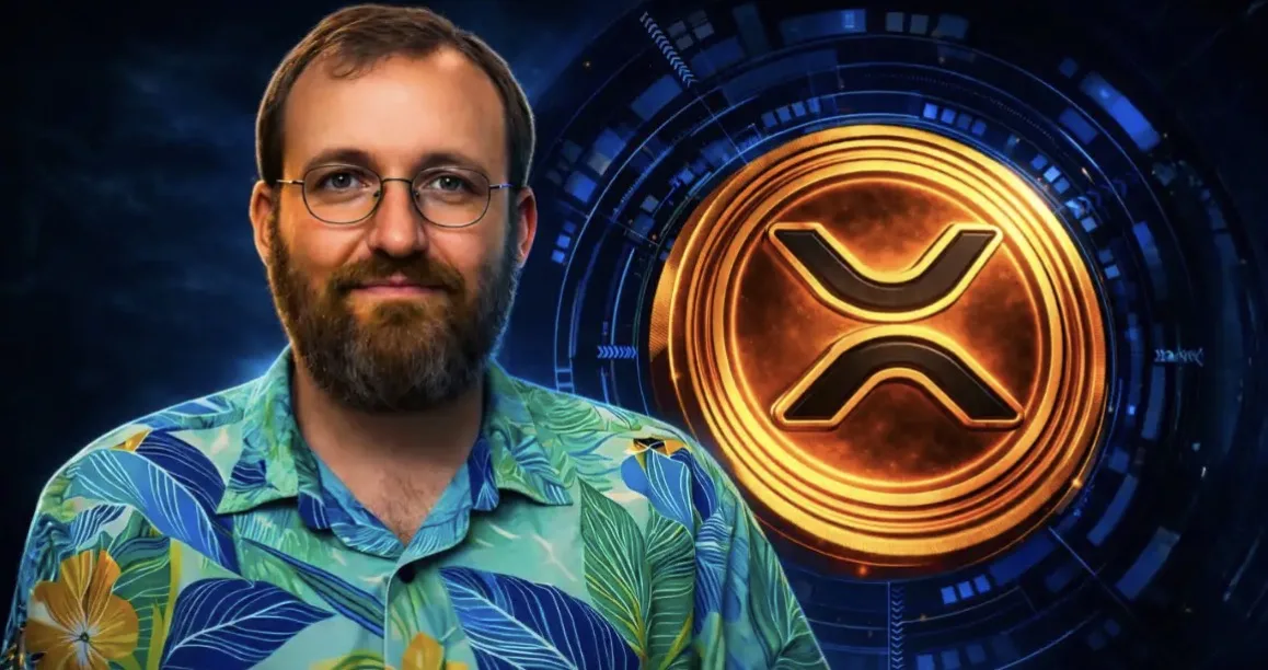 CEO của Ripple: “XRP sẽ ổn thôi. Cho dù chuyện gì xảy ra đi nữa.” image 0