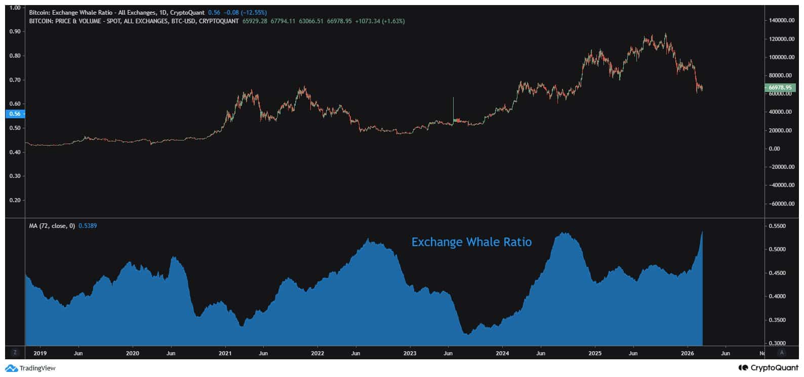 Décodage de la rotation du capital de Bitcoin : 5 milliards de dollars sortent du retail tandis que les whales prennent le contrôle image 4