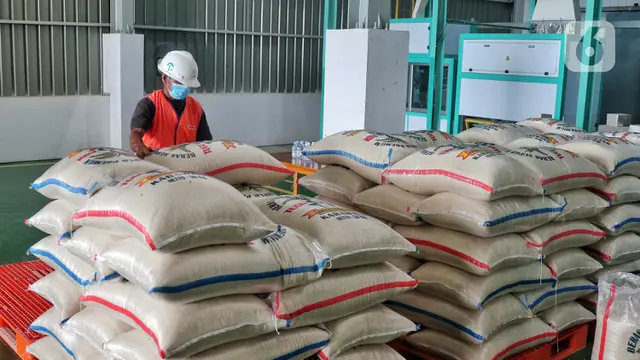 Hama Masuk ke Permukiman, Bulog Fumigasi Gudang Beras image 3
