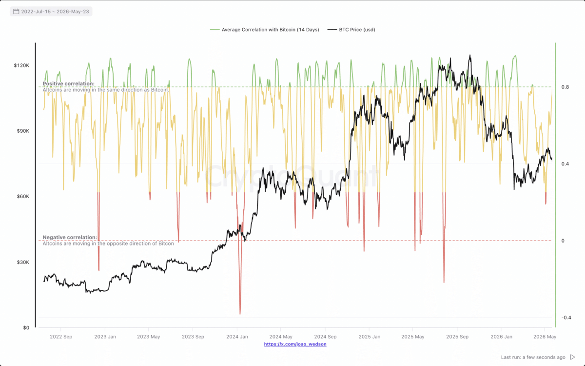 Are altcoins finally waking up or is Bitcoin still the only real leader? image 6