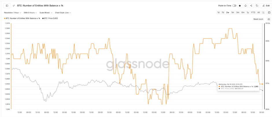 انخفاض سعر البيتكوين بنسبة 28% مع وصول تدفقات الحيتان إلى أعلى مستوى لها منذ أشهر