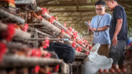 BRI Perkuat Prinsip Kehati-hatian dalam Penyaluran Kredit, Jaga Pertumbuhan Berkelanjutan