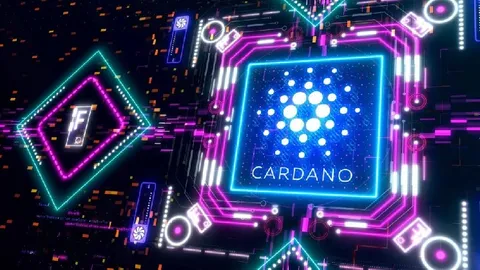 Experienced Analyst Claims a New Bull Run Could Be Starting for Cardano (ADA)