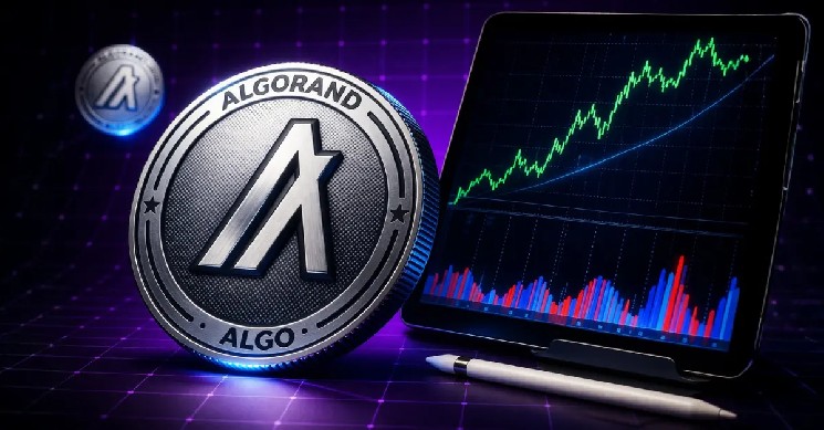 ALGO Price Risks Drop to $0.05 Despite Strong On-Chain Growth image 1