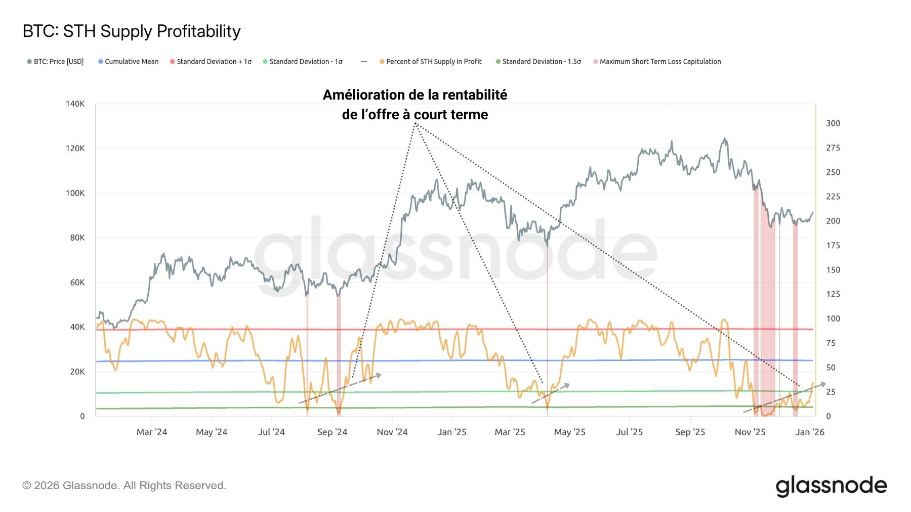 Un début d'année optimiste ? - Analyse on-chain du BTC avec Prof. Chaîne image 3