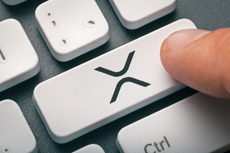 Number of XRP addresses created in 2026 crashes over 65% image 1