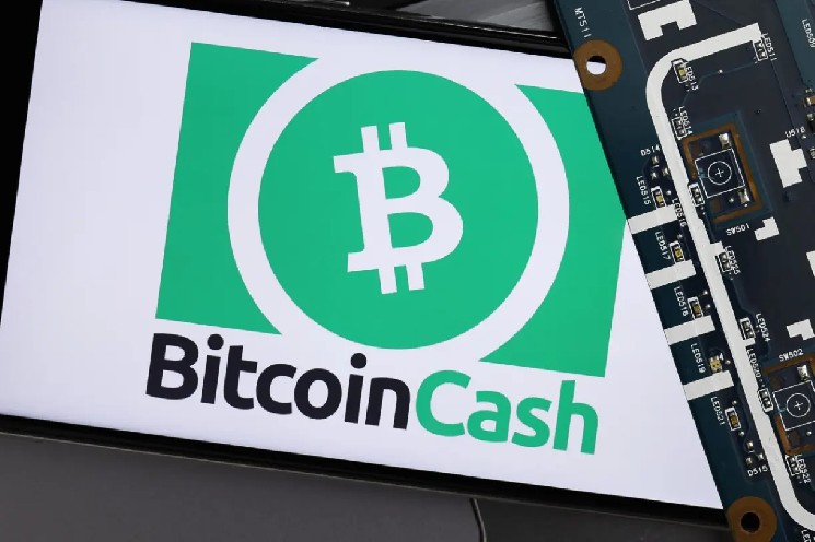 BCH Liquidation Shock: Where Smart Traders Are Positioning Next image 0