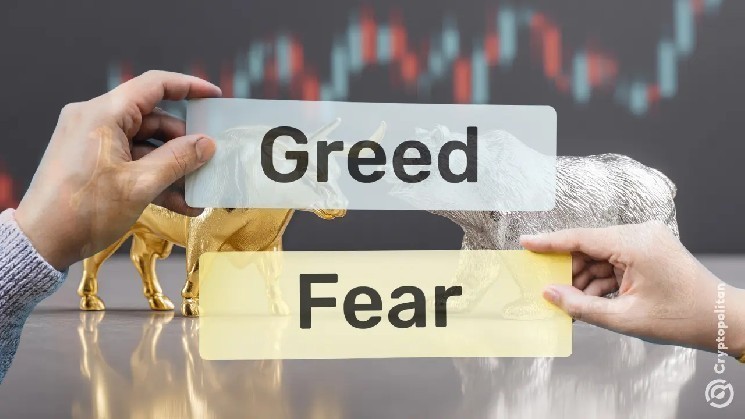 Market Psychology: Understanding Fear and Greed in Crypto image 1