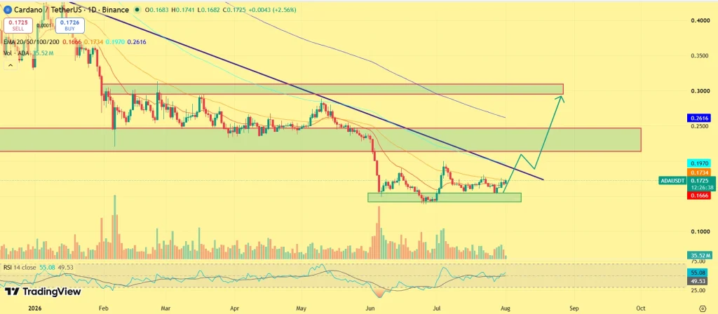 Cardano Price Surges 6%—Can Whale Accumulation Push ADA to $0.30? image 1