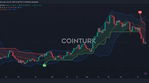 Market Participants Assess Altcoin Trends Following BTC Price Decline