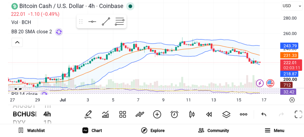 3 Explosive Altcoins That Could Deliver 100x Returns: BCH, BNB, SUI